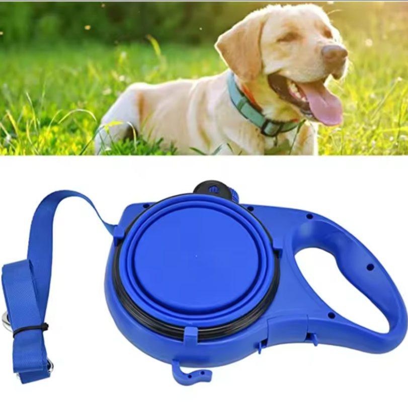 DogSmilling Leash